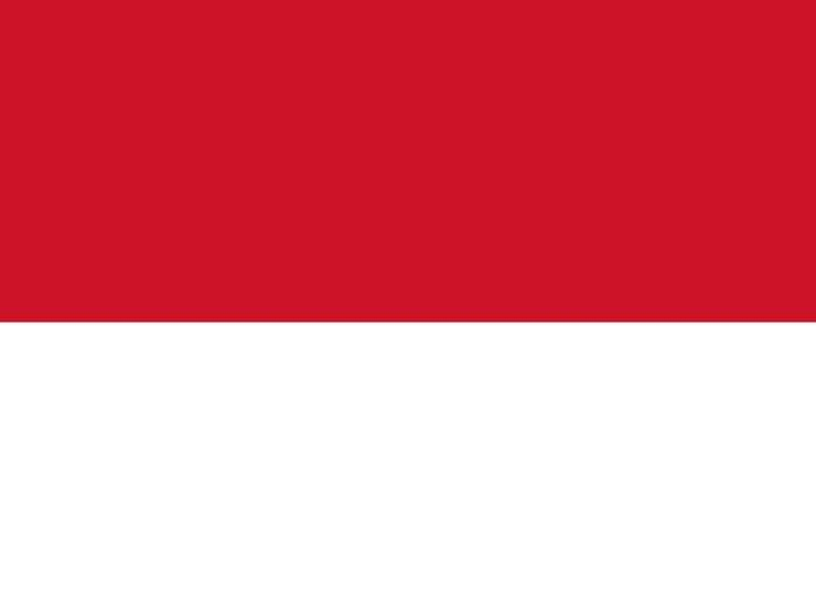 INDONESİAN TRANSLATION / TRANSLATION OFFICE